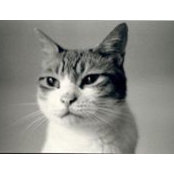 Kohei Kishitaka's photo