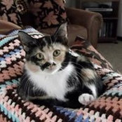 Gerri Eck's photo