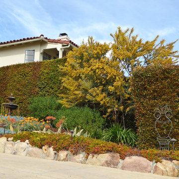 Succulents Replace Tiny Terraced Lawns