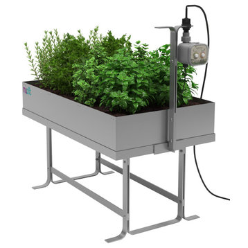 Self Irrigating Urban Wonder Vegetable Kit (autonomous)