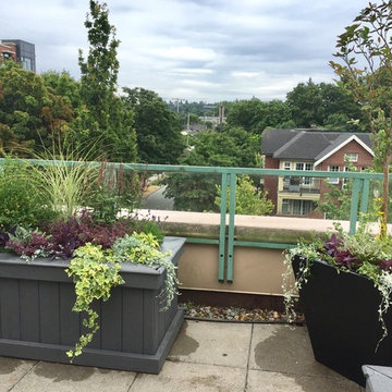 Cambie deck