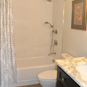 Chelsea Master & Guest Bathrooms