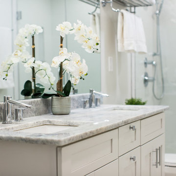 Reston Basement Bathroom Retreat