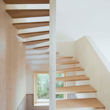 Schwarzwaldpanorama - Haus Dobel