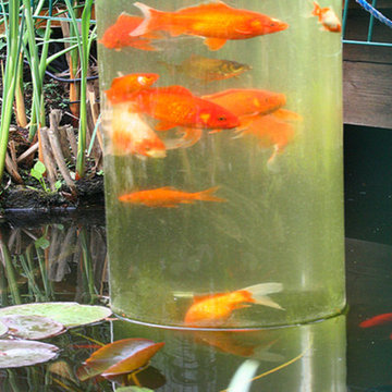 Wasser im Garten