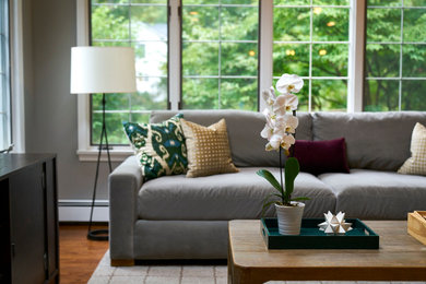 Living room - contemporary living room idea in New York