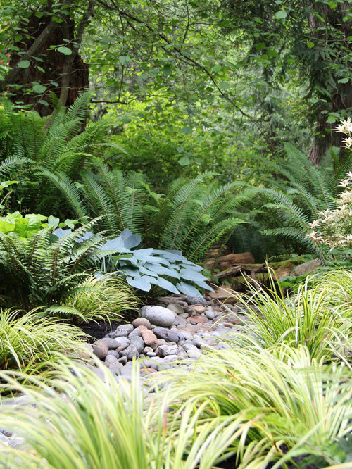 Native Plant Dry Creek Bed Houzz