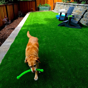 Guide Dog for the Blind Retirement Home