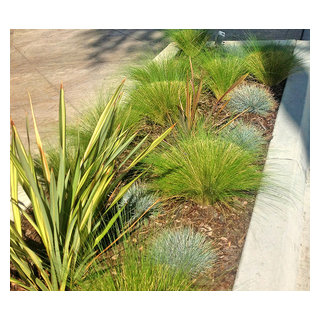 Drought Tolerant Landscape--Planter - Los Angeles - by Flores Artscape ...