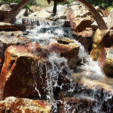 A Foxy Colorado Stream
