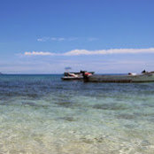 Sara Li's photo