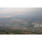 ربيع الورد's photo