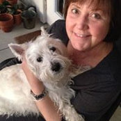 Donna Sollock's photo