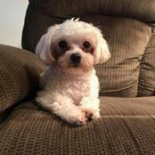 Kim Jernigan's photo