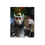 Rohit Kuriyan's photo