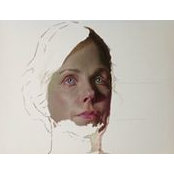 Susan Baird's photo