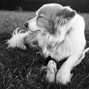 Colleen Harris's photo