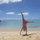 webuser_20384