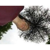 Robert Gray's photo