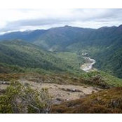 Phil Cossey's photo