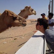 Ryan Renne's photo