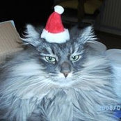 Monika Jungfleisch's photo