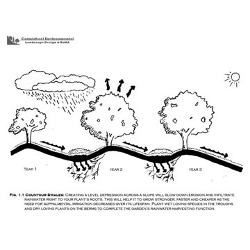 Natural Drainage