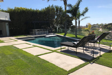 Malibu Pool & Backyard Renovation