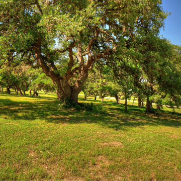 Our Property