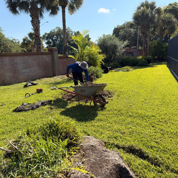 Commercial Landscape Enhancement