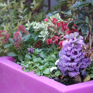 Pépinière - terrasses expo - potager - brocante ...