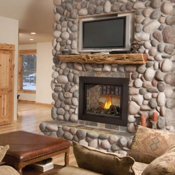 Gas Fireplaces - Traditional Napoleon