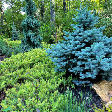 Crafting A Mountain Garden Called Rhodwood