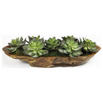 Uttermost - Yuma Artificial Plant, Natural Teak Wood - Life-like Echeveria Succulents Are Artfully Arranged Atop A Bed Of Naturally Preserved Moss In A Natural Teak Wood Bowl. Because Each Is Individually Handcrafted, Sizes May Vary. Cracks And Variations In The Grain Are Natural To This Type Of Wood.