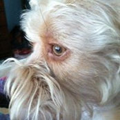 Amy Felder's photo