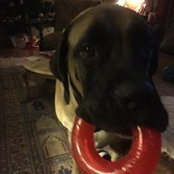 Doug Phillips's photo