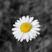 Kelly Dracos's photo
