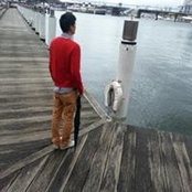 Hsing Lees foto