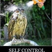 Marwa Shiwi's photo