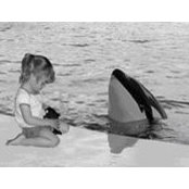 Lindsey Webster-Kallemeyn's photo