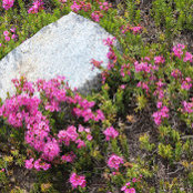 Kristine Foster's photo