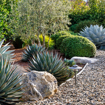 Front Yard Maintenance Renovation
