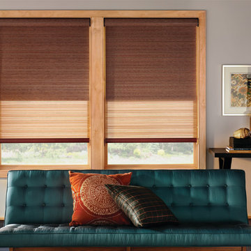 Designer Roller Shades by Hunter Douglas