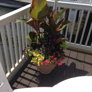 Container Gardens