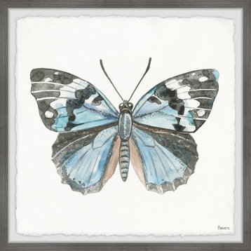 "Ocean Blue Shade Butterfly" Framed Painting Print, 18"x18"