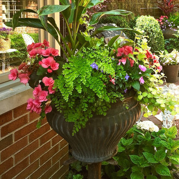 Summer Containers