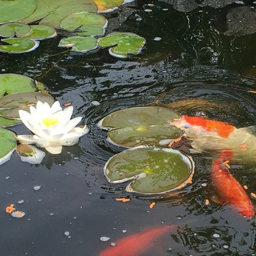 Retirement home pond & entrance