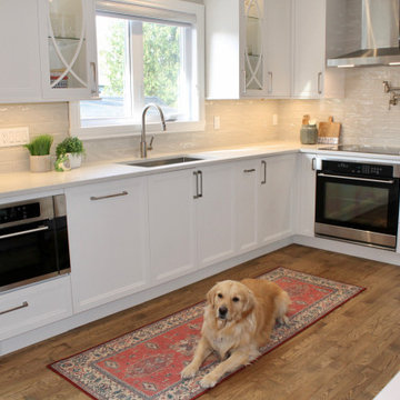 Pincourt Kitchen-Swedish Door