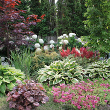 Gardening & Landscape