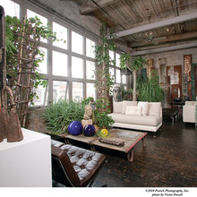 Indoor Plant Display Ideas